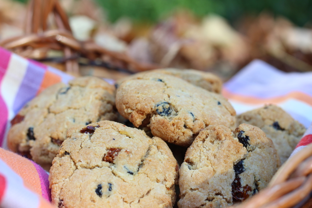 Currant, Gooseberry, Blueberry Cookies