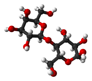 glucose molecule 