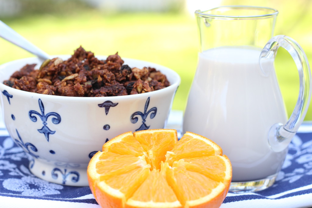 grain-free granola